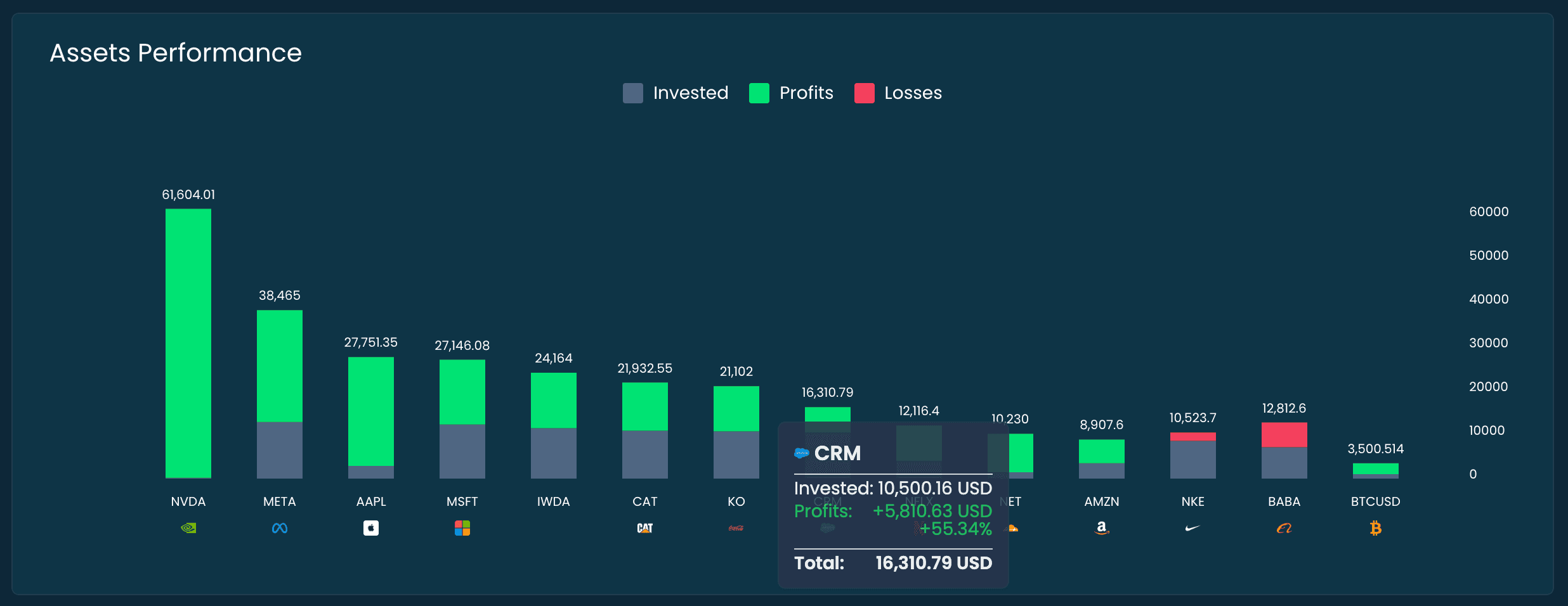 Interactive dashboard showing comprehensive portfolio visualization with holdings breakdown and asset class distribution